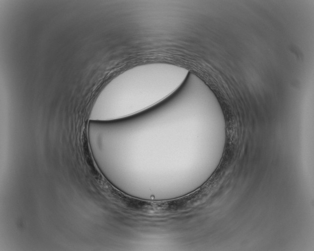 X0000112930660200908241055