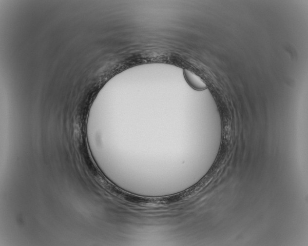 X0000112930662200908241055