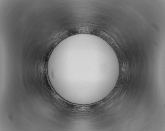 X0000112930663200908241055