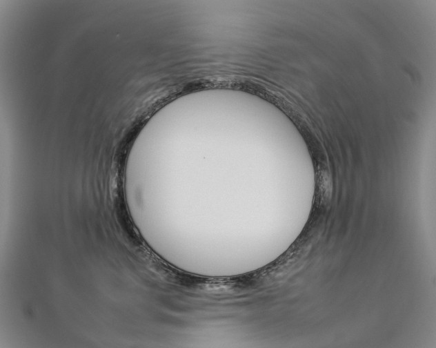 X0000112930668200908241055