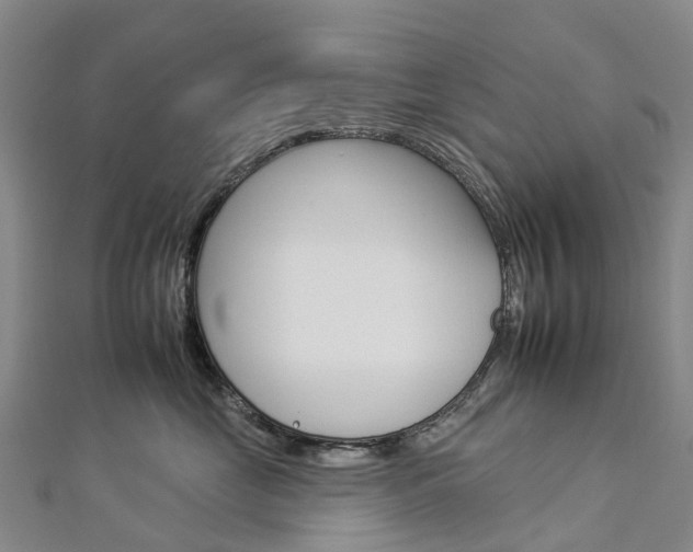 X0000112930669200908241055