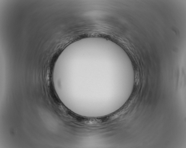 X0000112930670200908241055