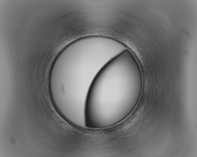X0000112930673200908241055