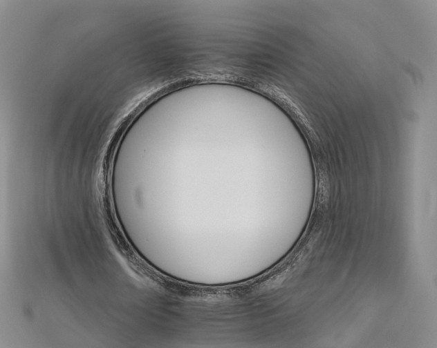 X0000112930674200908241055