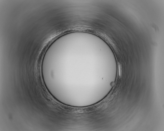 X0000112930675200908241055