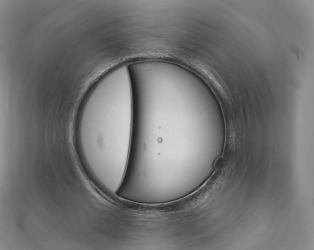 X0000112930677200908241055