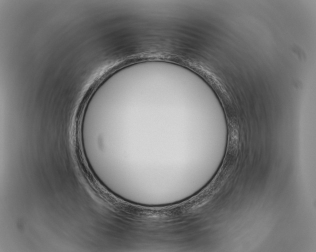 X0000112930678200908241055