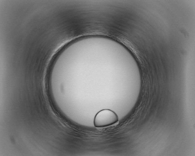 X0000112930680200908241055