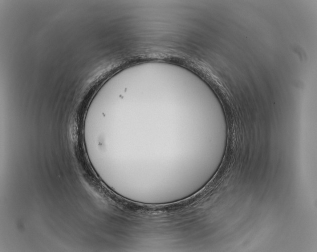 X0000112930683200908241055