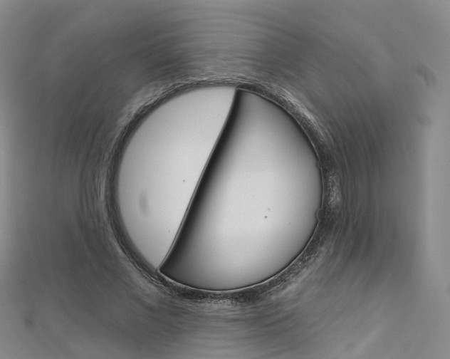 X0000112930685200908241055