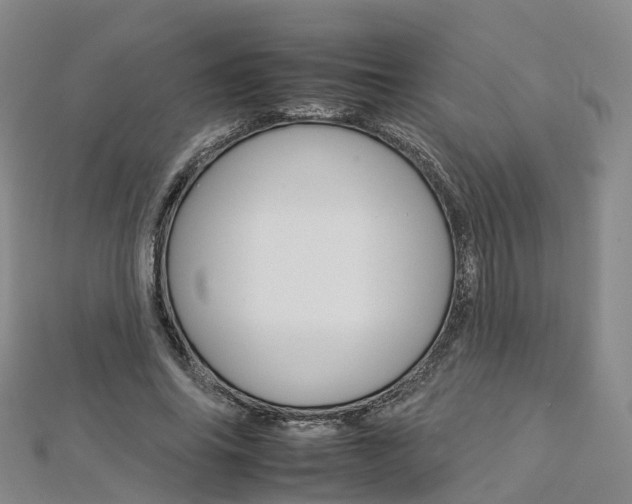 X0000112930686200908241055