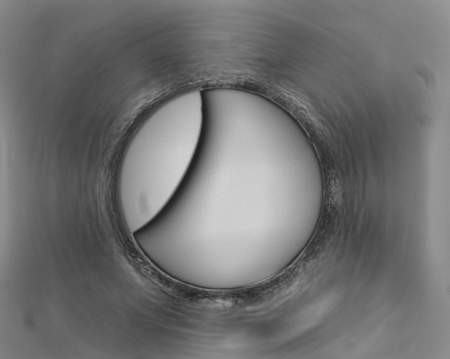 X0000112930687200908241055