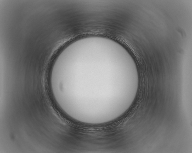 X0000112930688200908241055