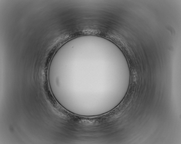 X0000112930690200908241055