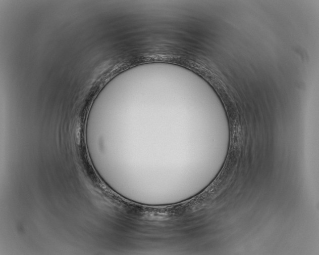 X0000112930694200908241055