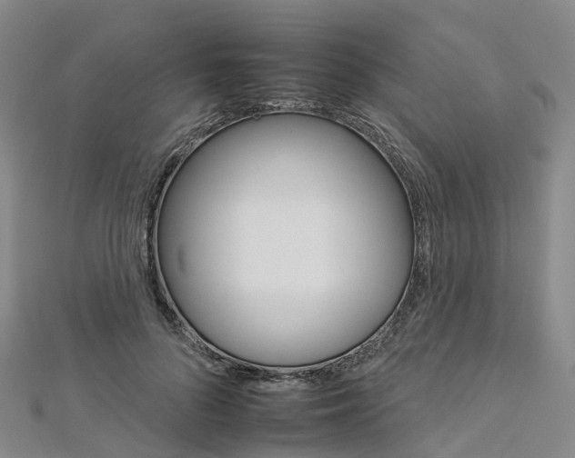 X0000112930696200908241055