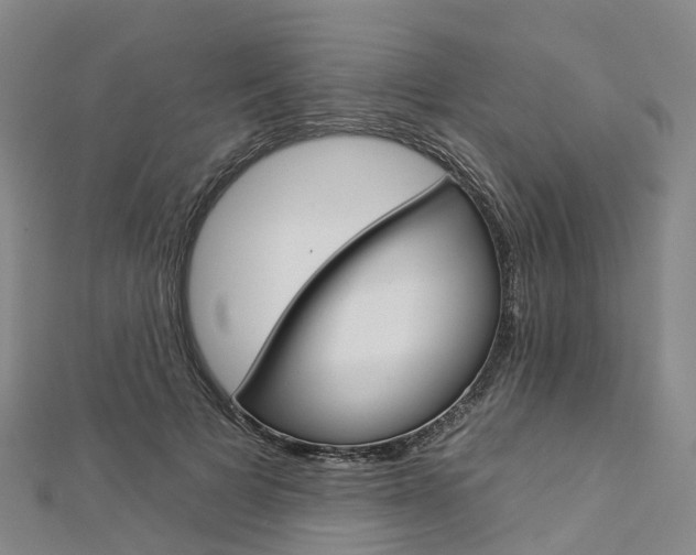 X0000112930697200908241055