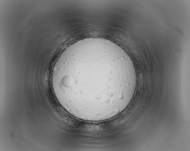 X0000112930698200908241054