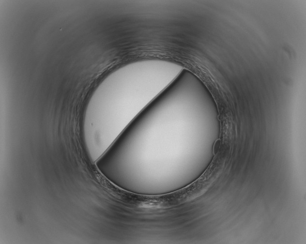X0000112930700200908241054