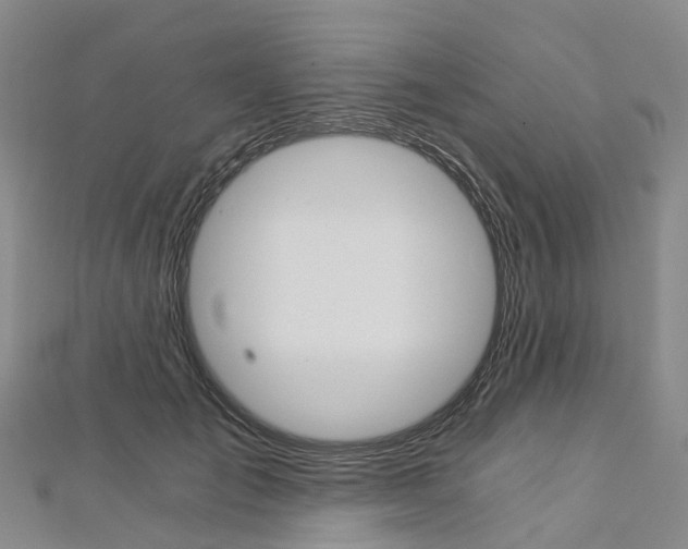 X0000112930701200908241054