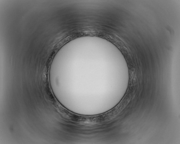 X0000112930702200908241054