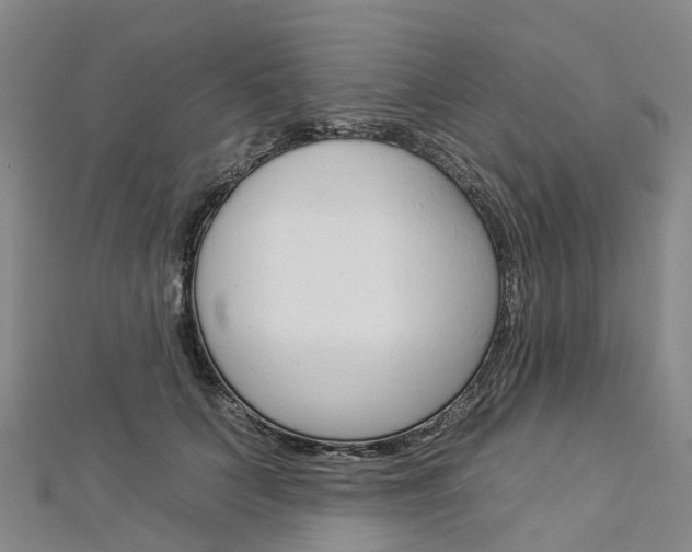 X0000112930703200908241054