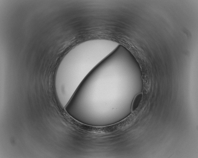 X0000112930704200908241054