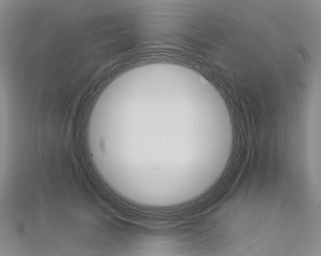 X0000112930705200908241054