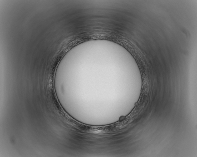 X0000112930706200908241054