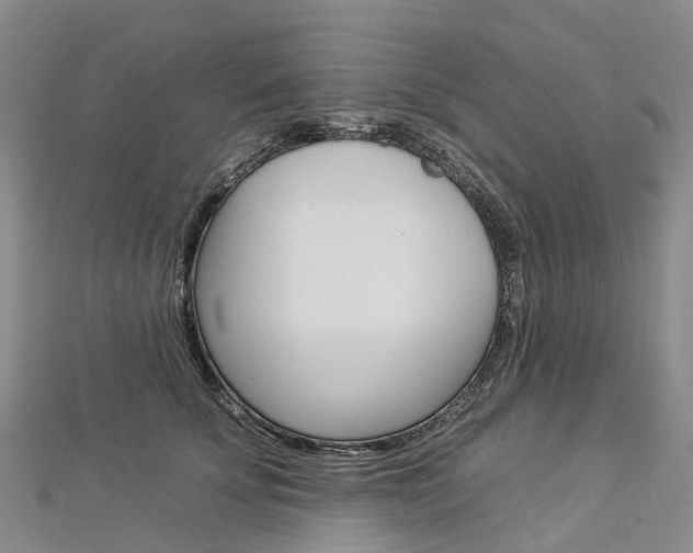 X0000112930707200908241054