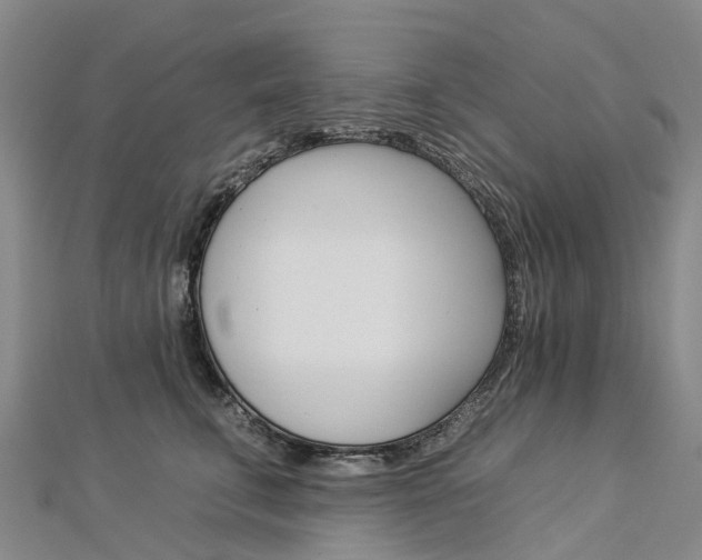 X0000112930711200908241054