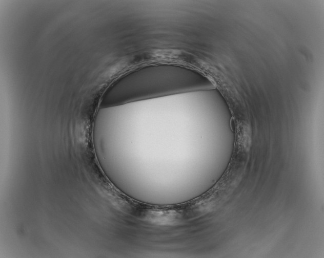 X0000112930712200908241054