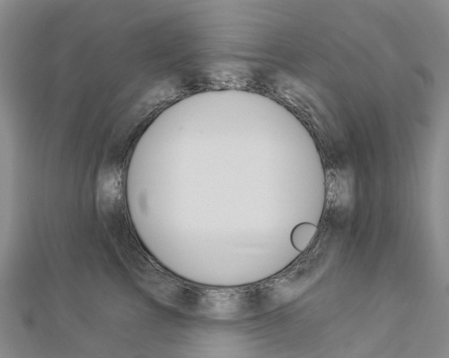 X0000112930713200908241054