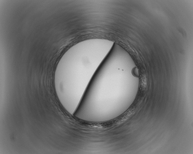 X0000112930715200908241054