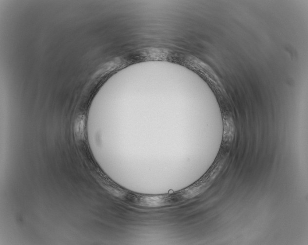 X0000112930717200908241054