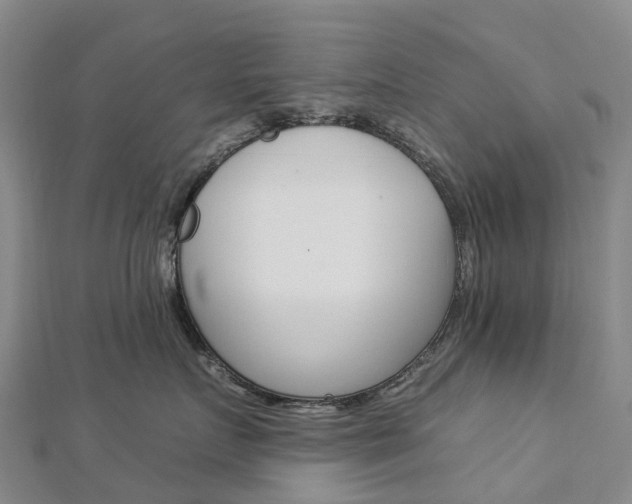 X0000112930719200908241054