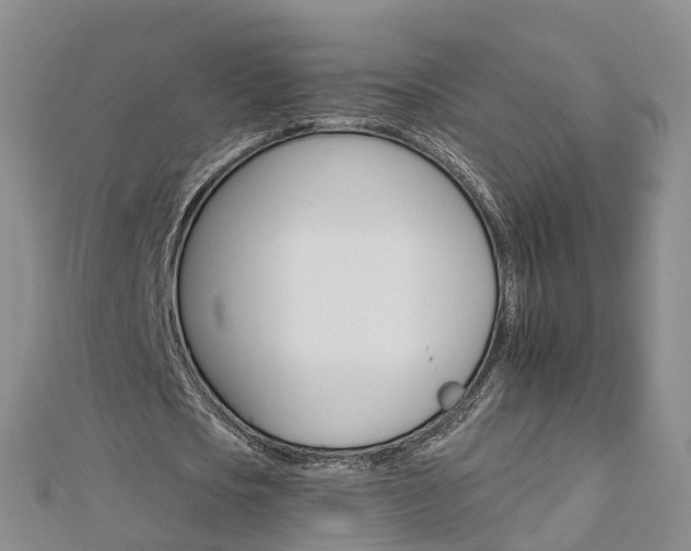 X0000112930721200908241053