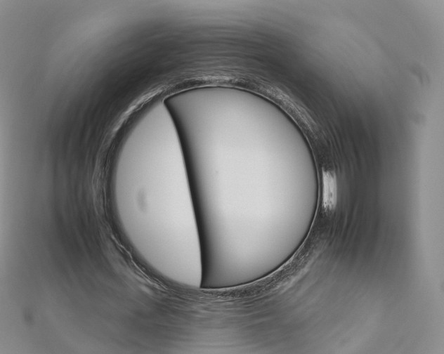 X0000112930723200908241053