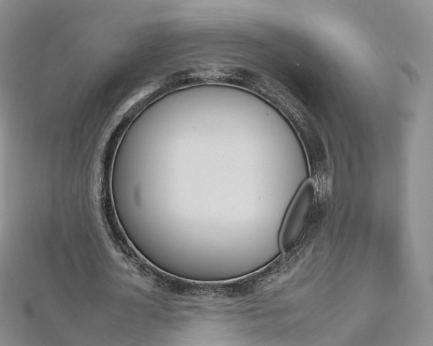 X0000112930724200908241053