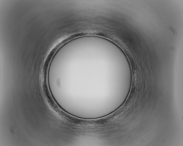 X0000112930726200908241053