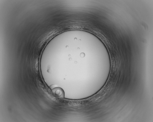 X0000112930729200908241054
