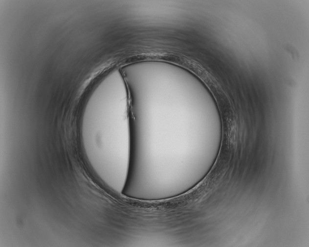 X0000112930731200908241054