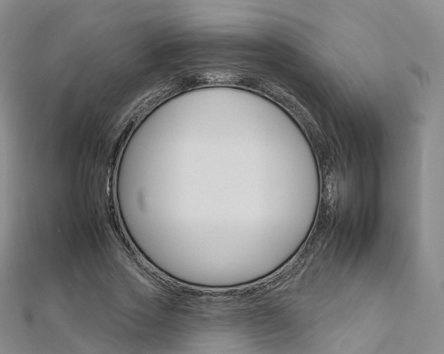 X0000112930733200908241054