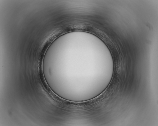 X0000112930735200908241054