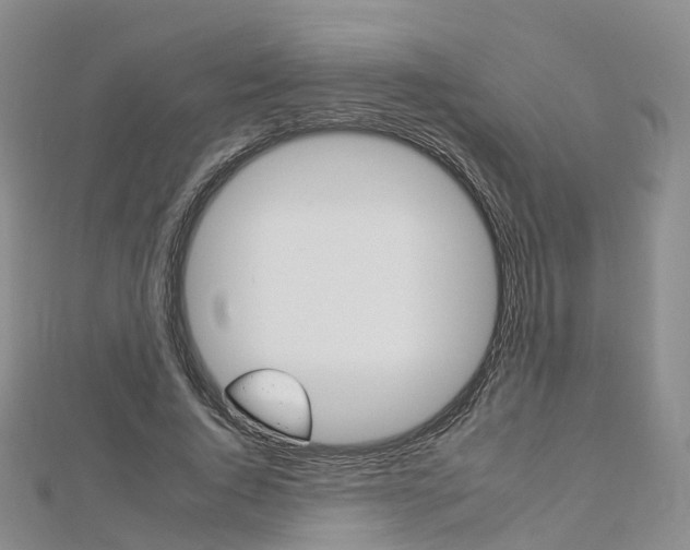 X0000112930736200908241054