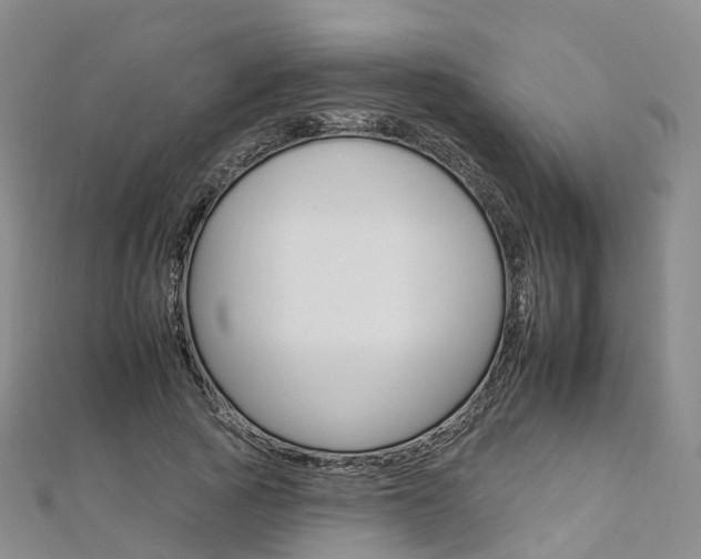 X0000112930737200908241054