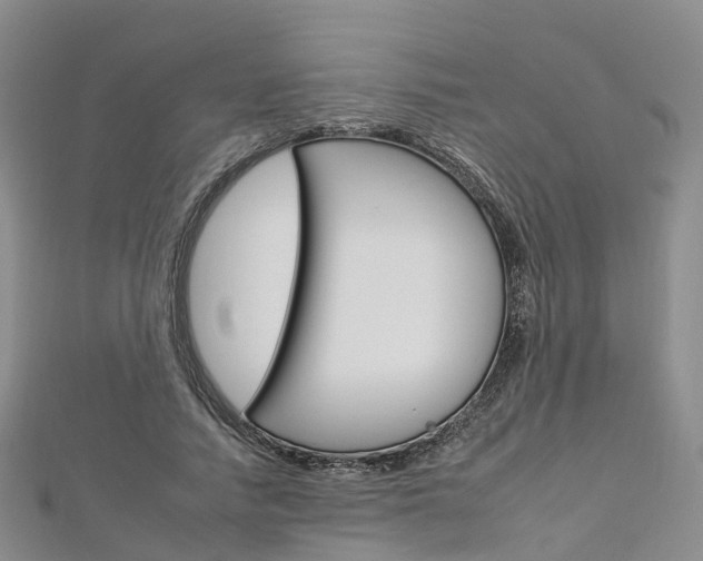 X0000112930738200908241054
