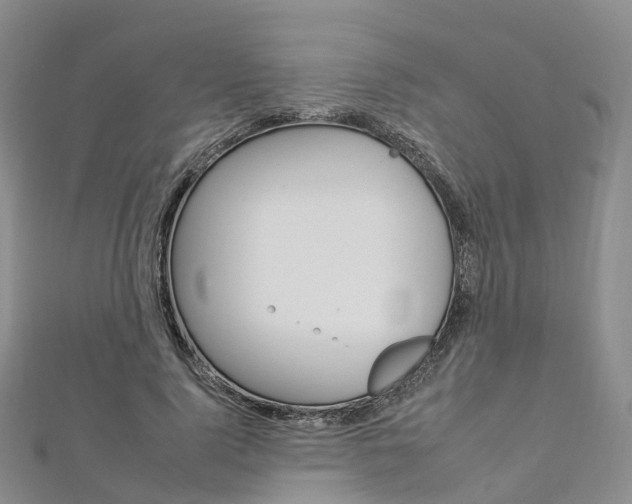 X0000112930740200908241054