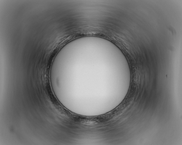 X0000112930743200908241054