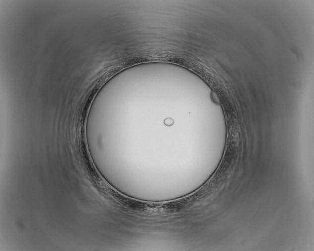 X0000112930744200908241054